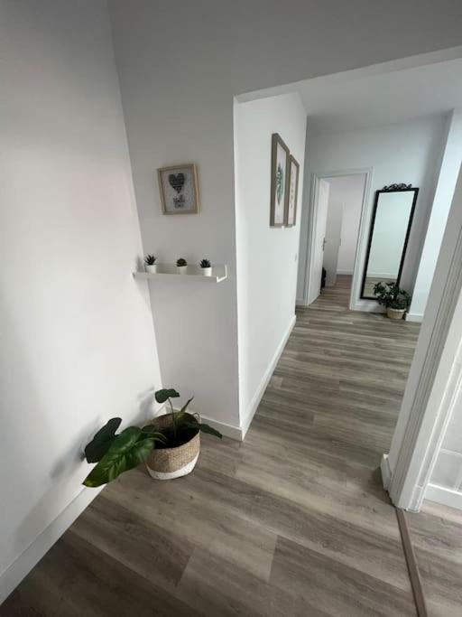 Piso Centrico En Las Palmas Eksteriør bilde